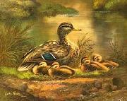 unknow artist Ducks 101 oil painting picture wholesale